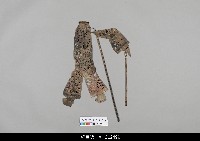 藏品(中國湖北皮影戲偶身)的圖片